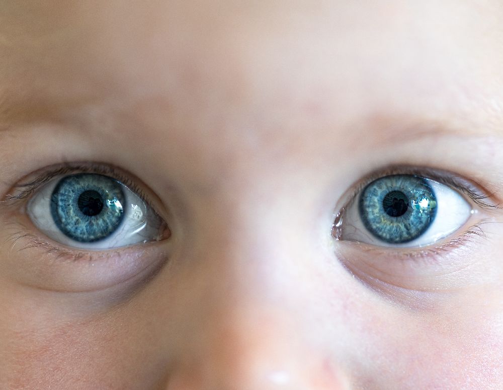 How Rare Is Blue Eyes
